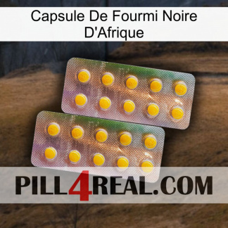 Africa Black Ant Capsule new10